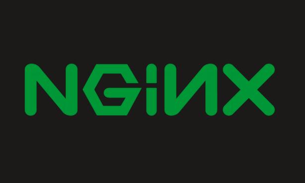 nginx扫描.jpg